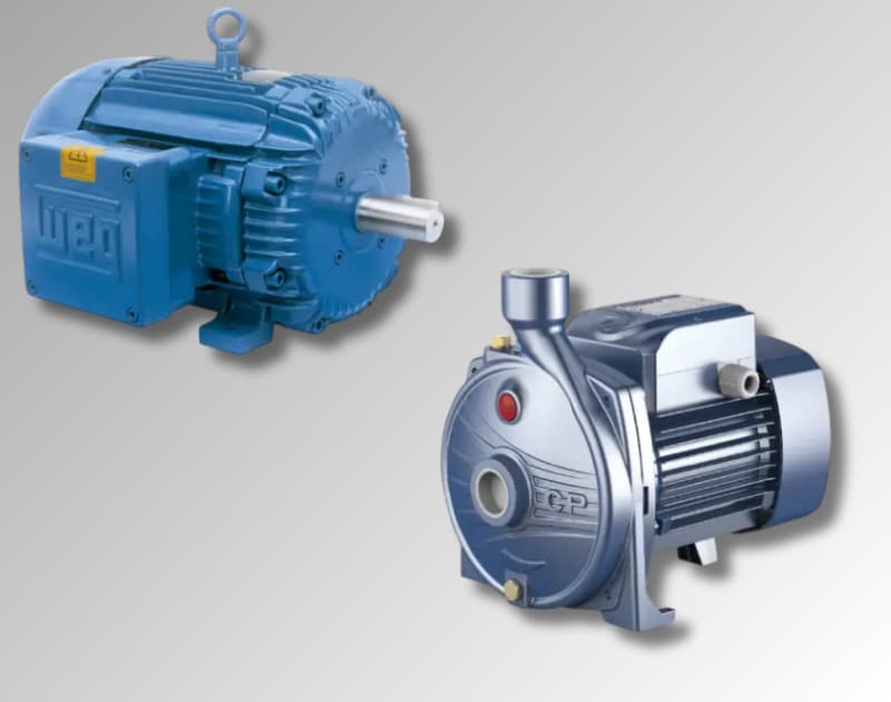 Motores wegg y pedrollo